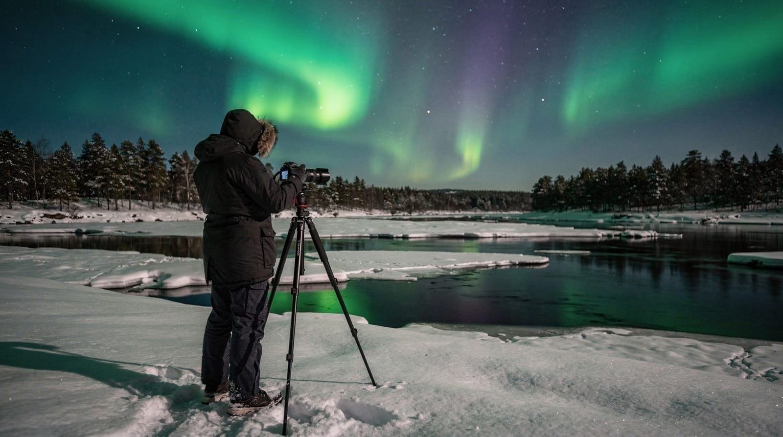 Rovaniemi: aurora borealis photography trip