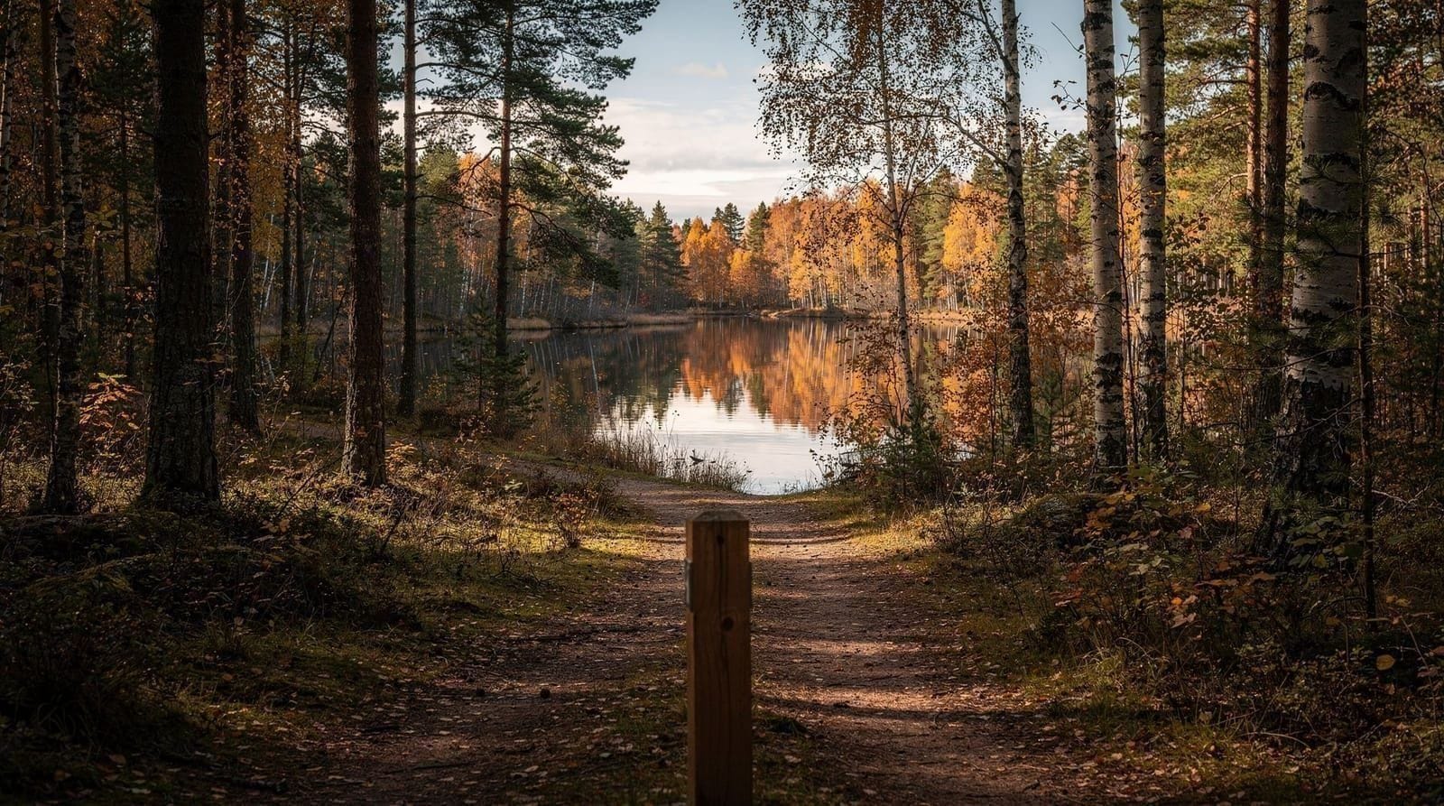 Helsinki: Nuuksio National Park half-day trip