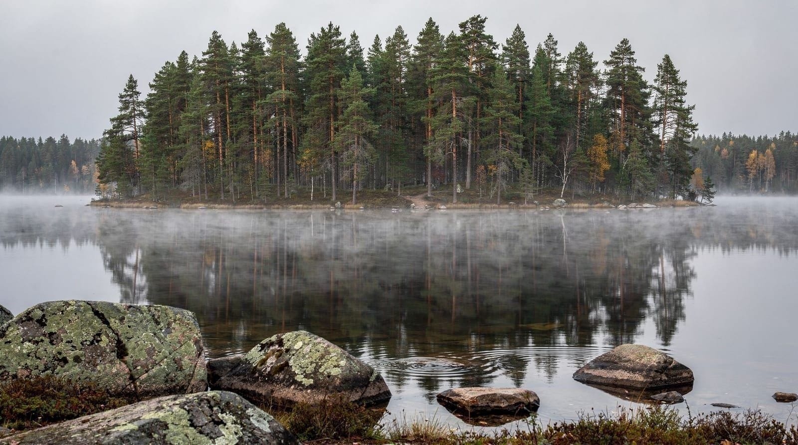 Espoo and Nuuksio National Park — Finnish nature near Helsinki, Finland