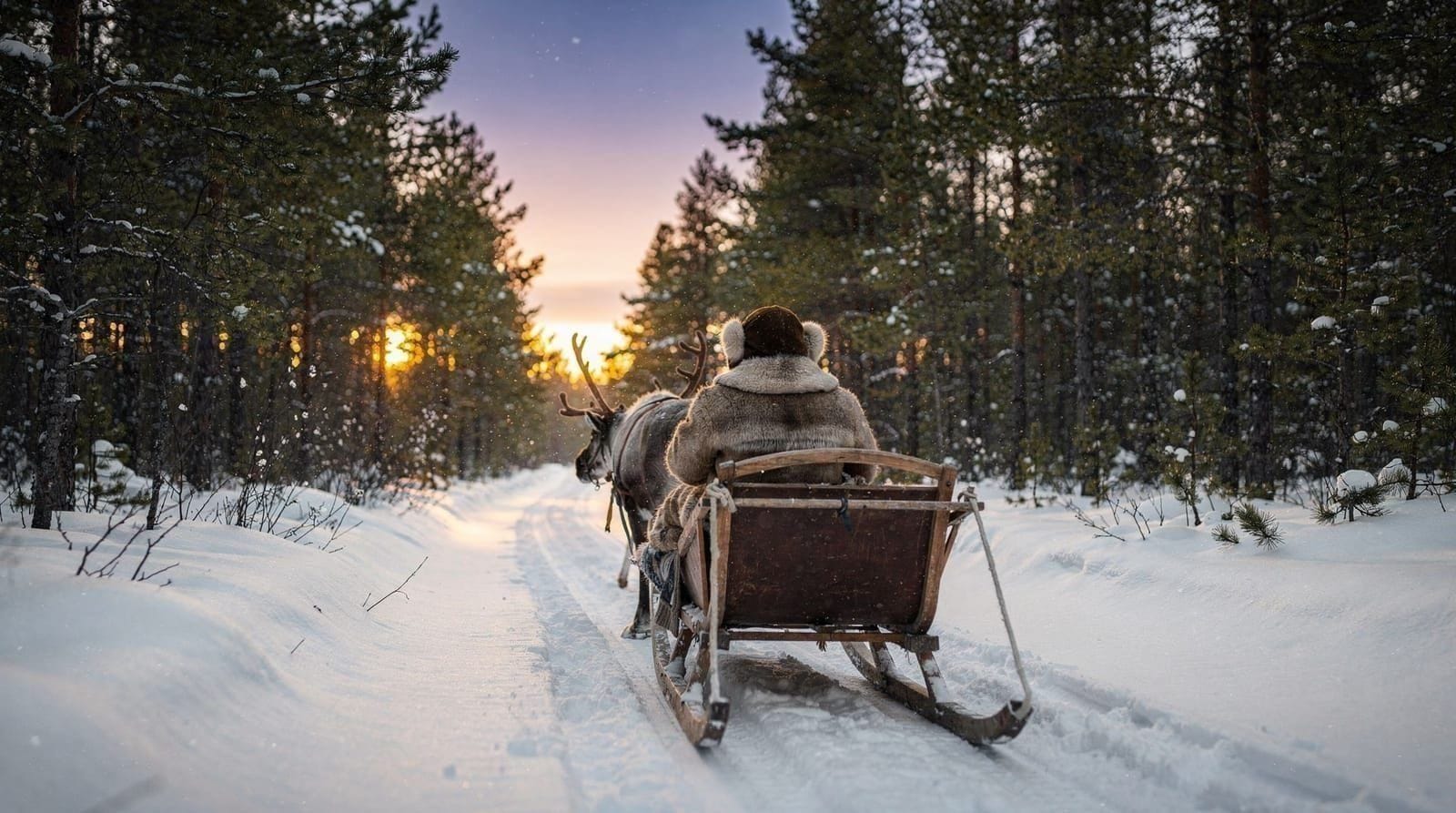Lapland from Helsinki: how to plan the trip north — Everything you need to plan a Lapland trip from Helsinki: flight vs overnight tr