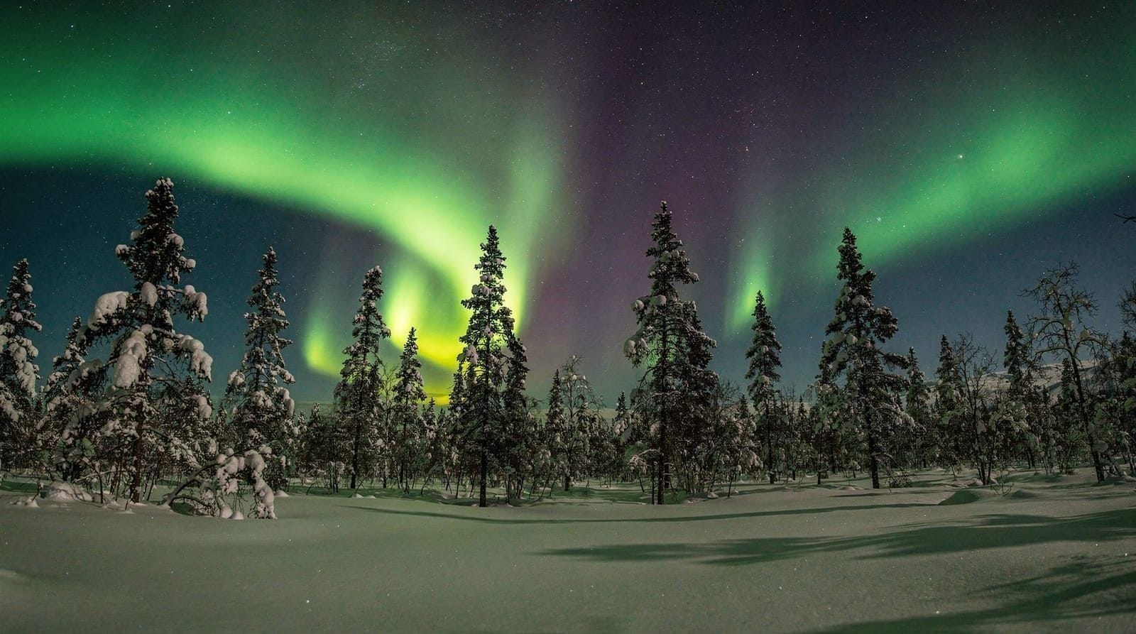 Winter & Aurora — Northern lights, Lapland safaris and snowy winter adventures